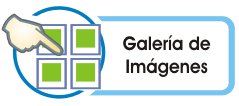 |/biblioteca digital/humorgrafico/Benjamin Garcia/galeria_benjamin garcia.html