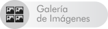 |/exhibiciones/biblioteca nacional/banners/02/galeria_02.html