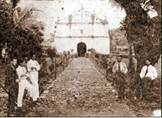 Fotografías de Guanacaste de Armando Céspedes